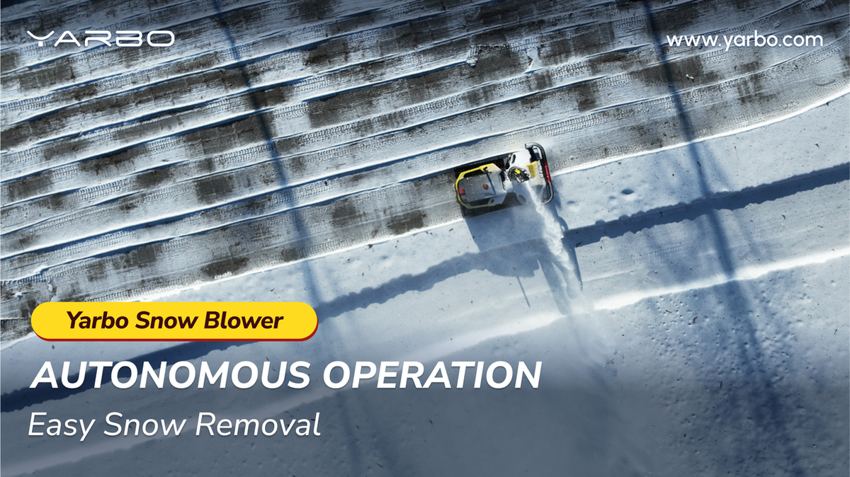 best snow blower for elderly