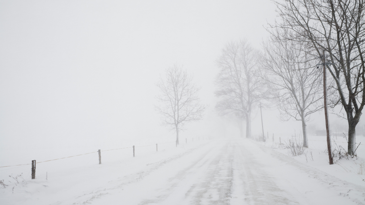snow storm 